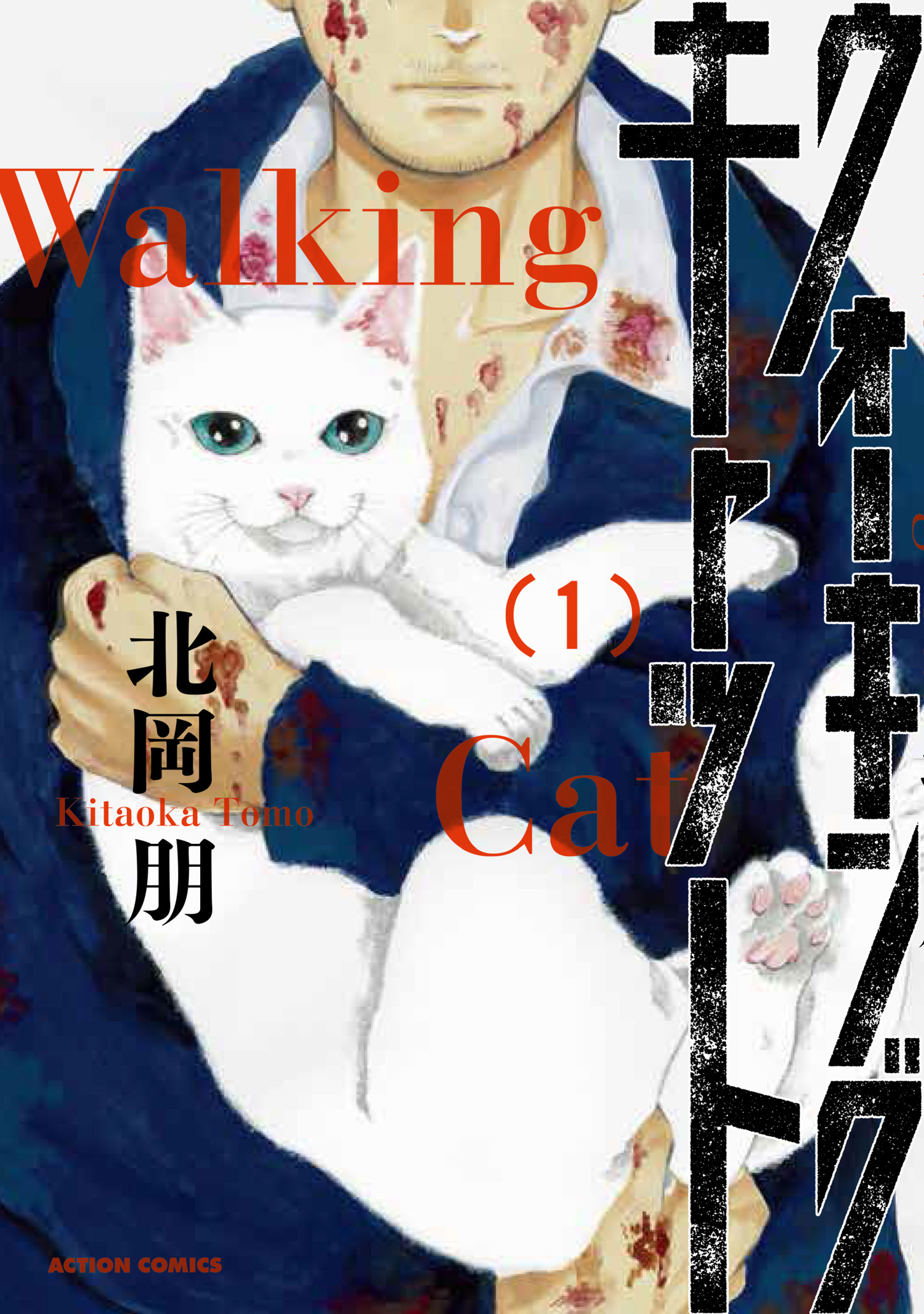 Walking Cat Scan ITA